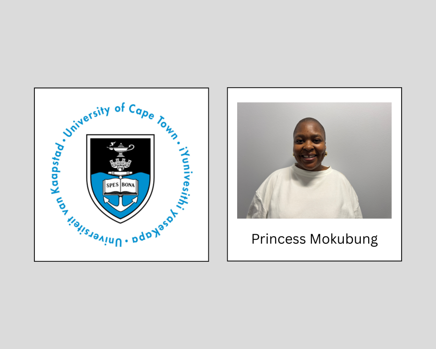 Princess Identity Card