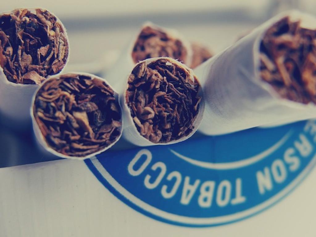 Image: StockSnap/Pixabay/cc