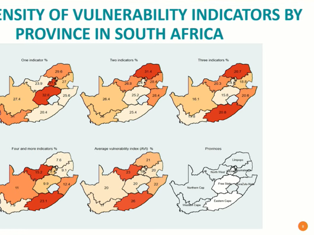 Image: Screenshot of Murray Leibbrandt’s keynote address during the conference.