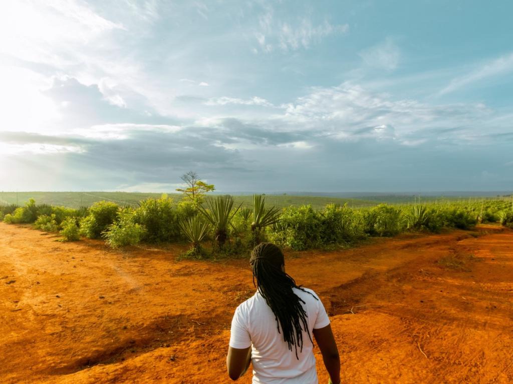 Image: Moses Londo on Pexels.